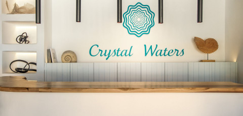 CRYSTAL WATERS - NIKIANA image 7