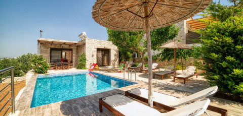 OLIVE VILLAS & SUITES - KAMILARI