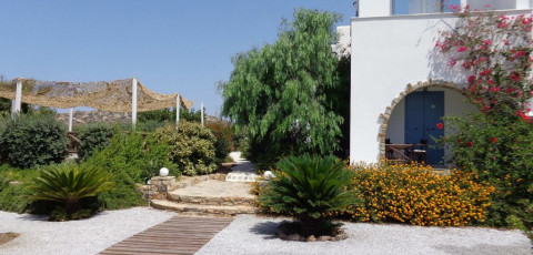 VALENA MARE - PLAKA